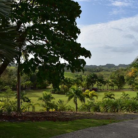Hotel Hacienda Agroturistico Vista Hermosa Camuy Buitenkant foto