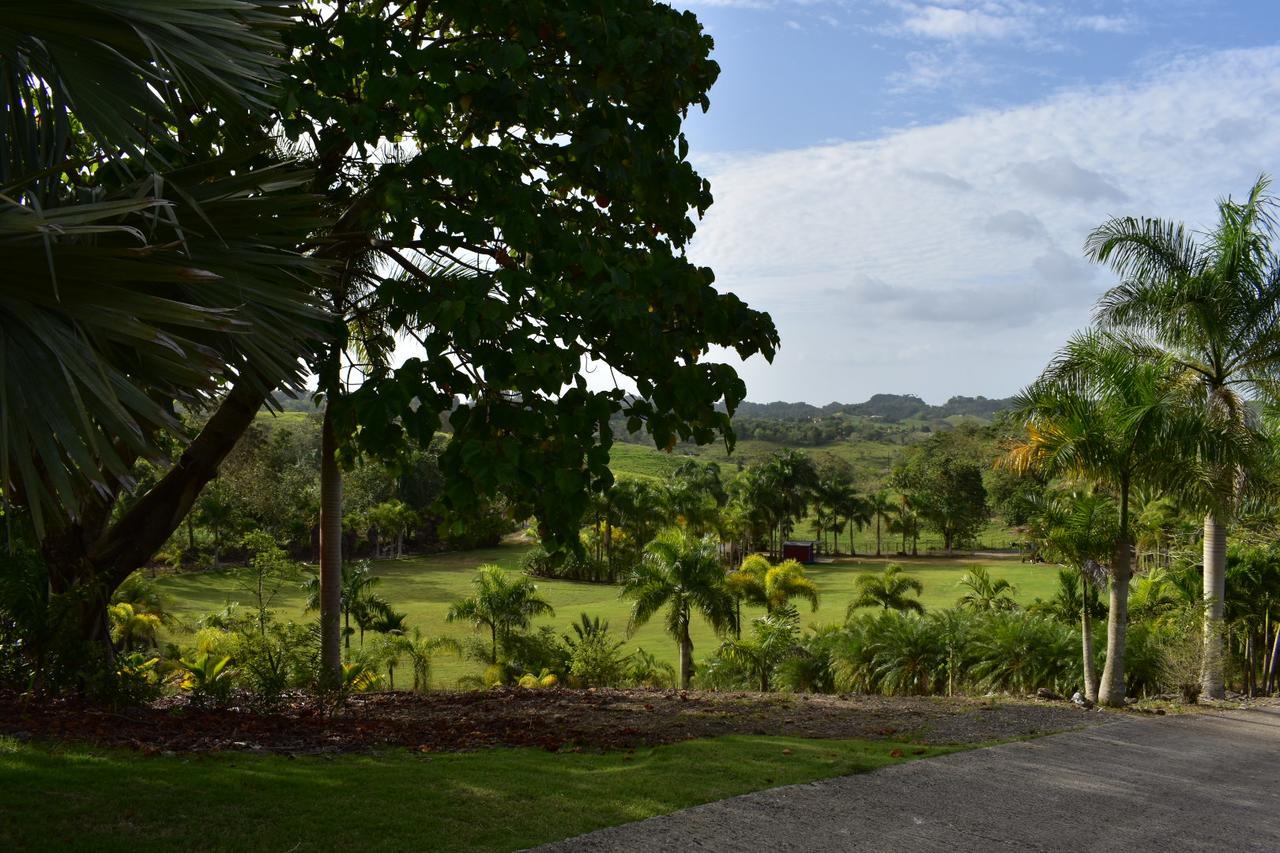 Hotel Hacienda Agroturistico Vista Hermosa Camuy Buitenkant foto